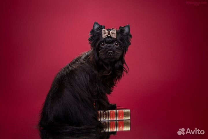 Кай (Мальчик) Черный жемчуг