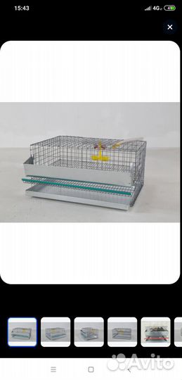 Клетки для перепелов