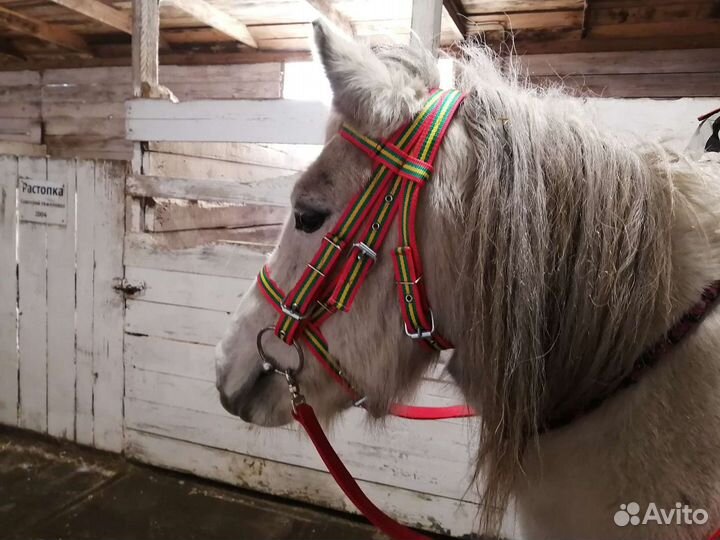 Конная амуниция готовая и на заказ