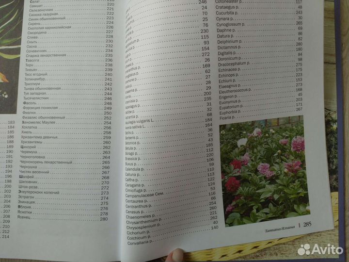 Ваш целебный сад. Т. Ильина