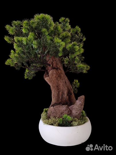 Деревья для интерьера