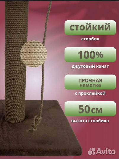 Когтеточка