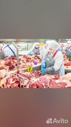 Обвальщик мяса г Курск