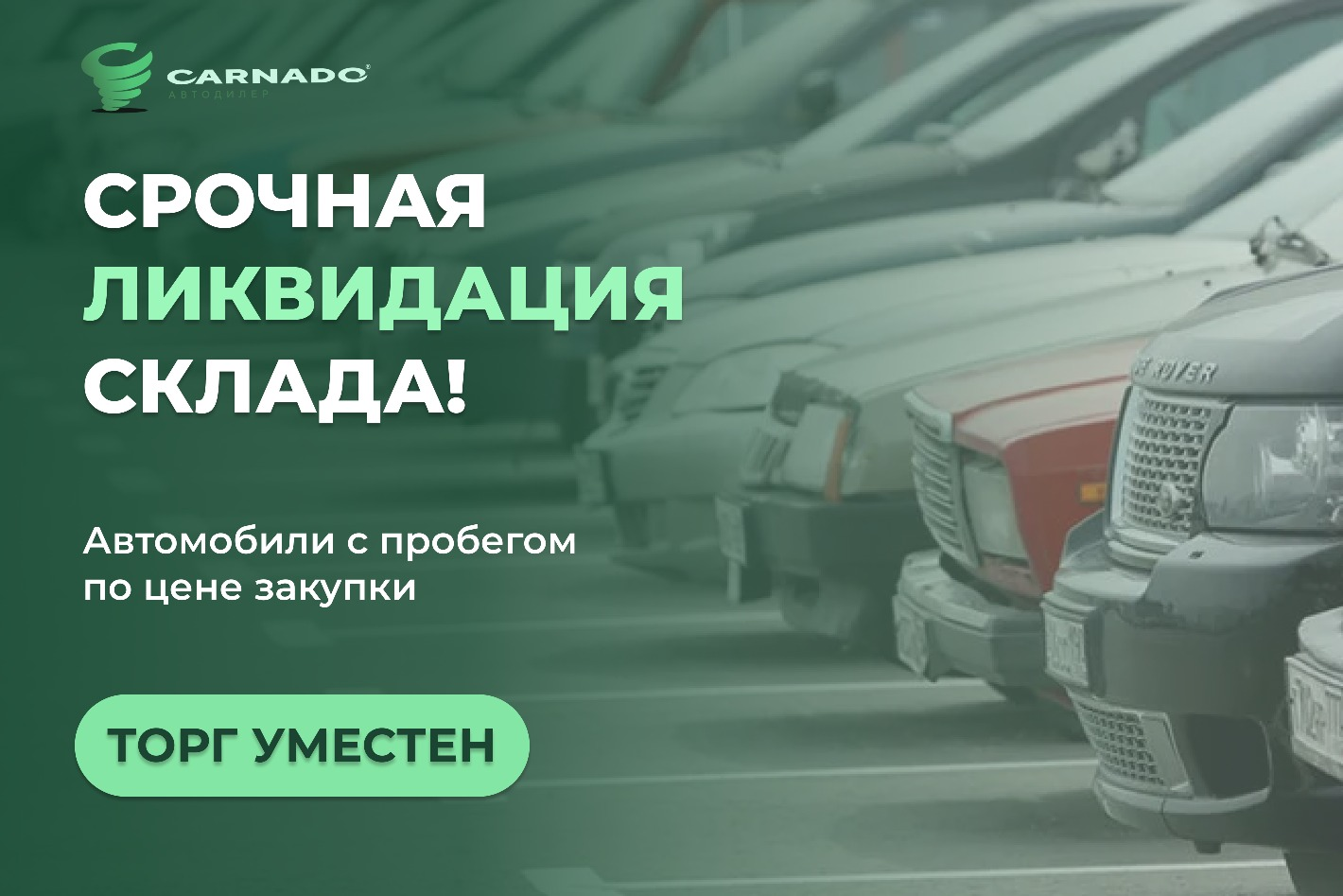 CARNADO. Профиль пользователя на Авито