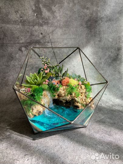 Флорариум суккуленты мох подарок