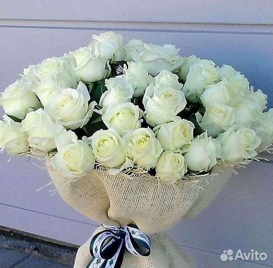 Высокие Розы Гиганты Доставка Круглосуточно