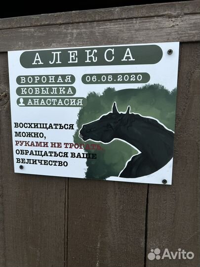 Табличка на денник