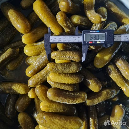 Огурчики бочковые