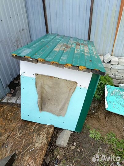 Собачья будка