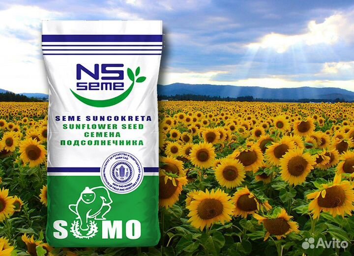 Гибриды семена подсолнечника нс 6006 (express) сам