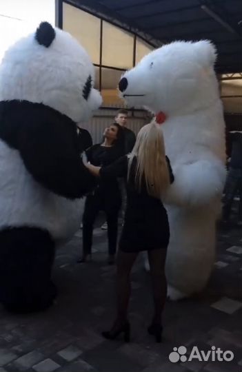 Белый мишка на поздравление,панда и тэдди