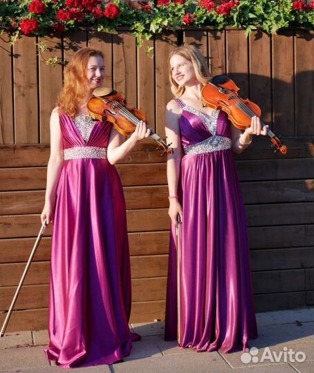 Скрипач, электроскрипка, скрипка на праздник