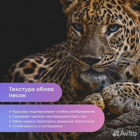 Дизайнерские фотообои 