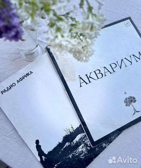 Виниловые пластинки Аквариум Гребенщиков