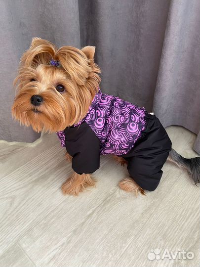 Зимний комбинезон пуховик одежда для собак