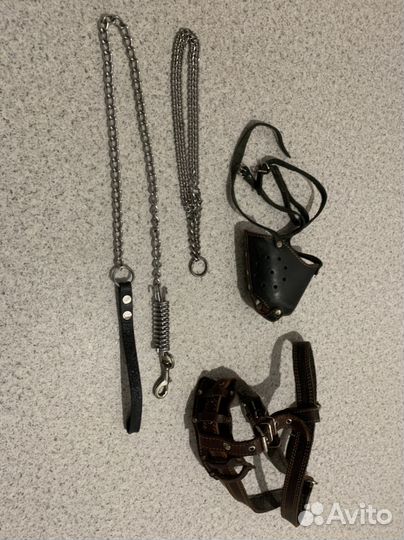 Товары для животных