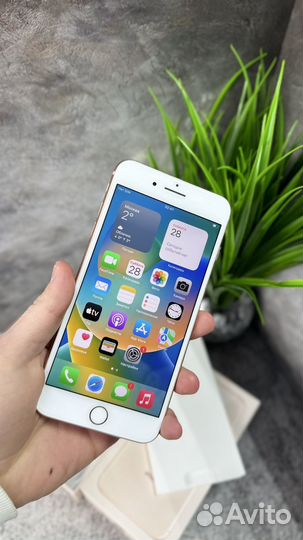 iPhone 8 Plus, 64 ГБ