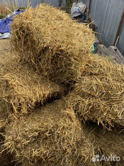 Сено солома