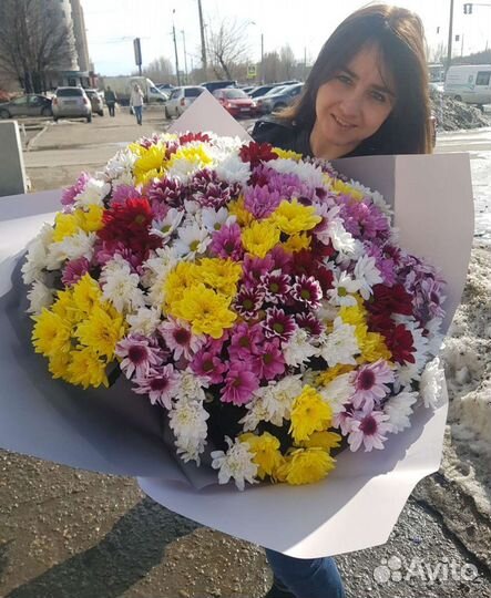 51 хризантема цветы, хризантемы, ромашки