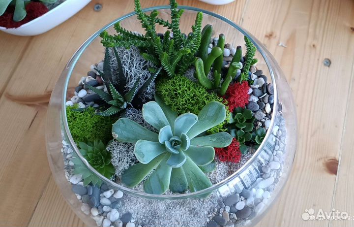 Флорариум 3 л