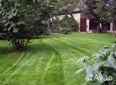 Газон рулонный гарантия