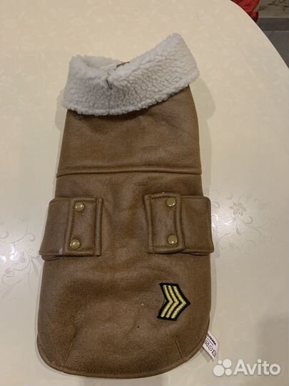 Куртка для небольшой собачки