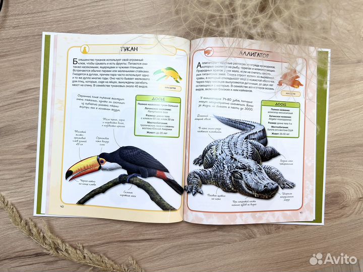 Книга энциклопедия Дикие животные