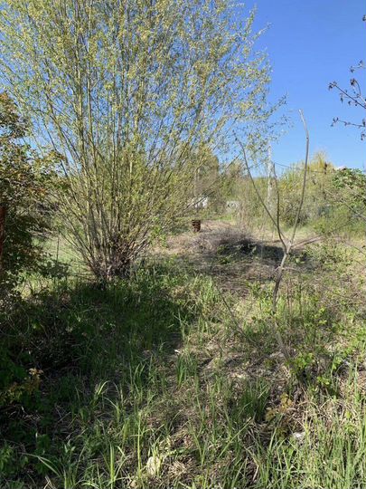 Участок 9 сот. (СНТ, ДНП)