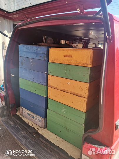 Улей с пчелами