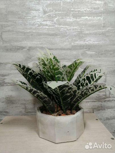 Искусственные растения