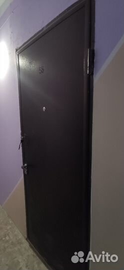 Дверь входная железная металлическая