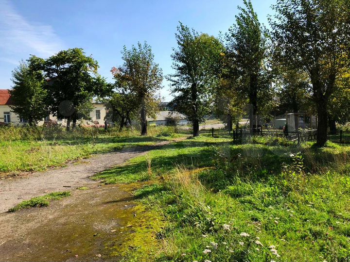 Помещение свободного назначения, 1260 м²