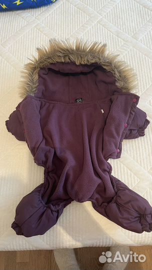 Одежда для собак