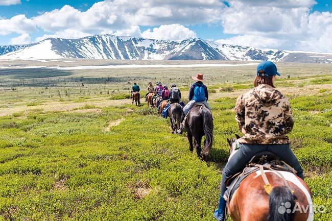 Тур на Алтай