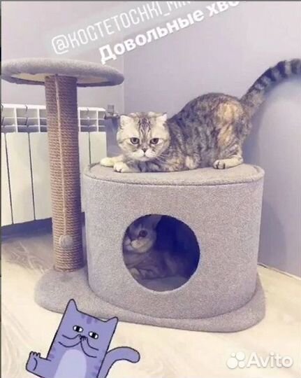 Домик для кошек овальный