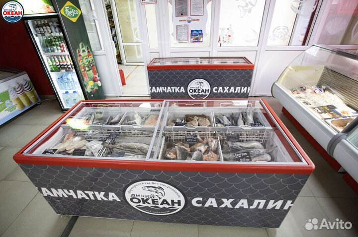 Франшиза Рыбного Магазина