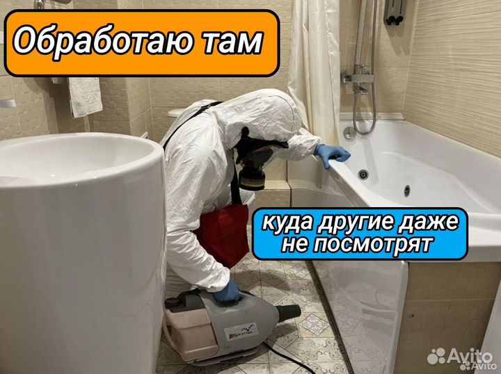 Уничтожение клопов, травить тараканов. Дезинфекция