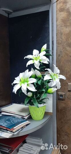 Светильник.ночник,Ростовые цветы