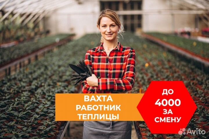 Фасовщик томатов вахта легкая работа