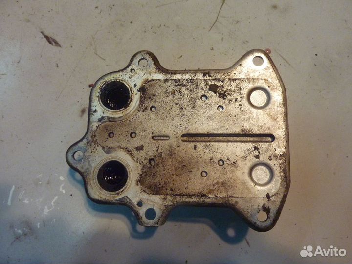 Радиатор масляный 03C 117 021 E BLF