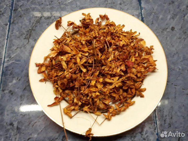 Цветы для сада