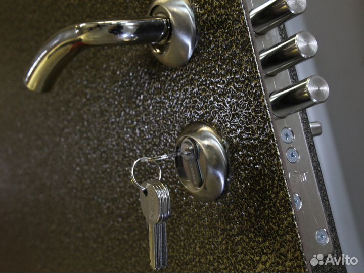 Железная дверь с порошковым покрытием