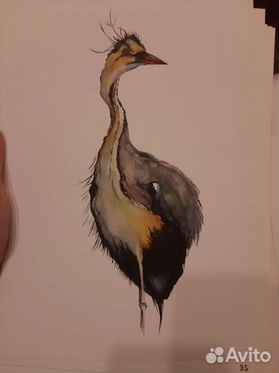 Цапля, акварель, иллюстрация, открытка