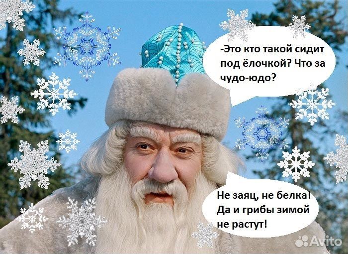 Пёс в добрые руки