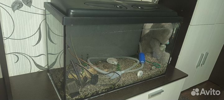 Аквариум бу