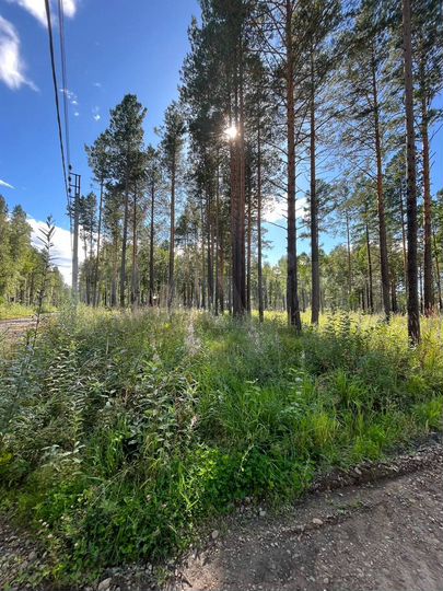 Дом 100 м² на участке 10 сот.