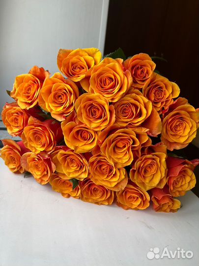 Необычные Коралловые розы в букете от 15шт