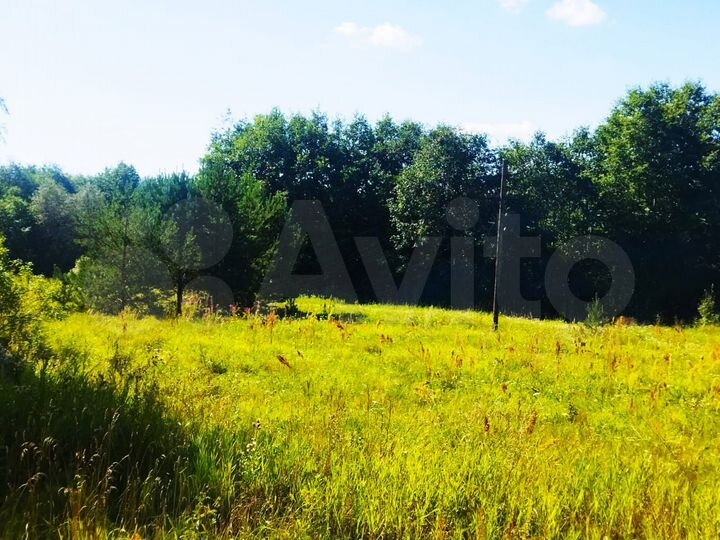 Участок 41 сот. (ИЖС)