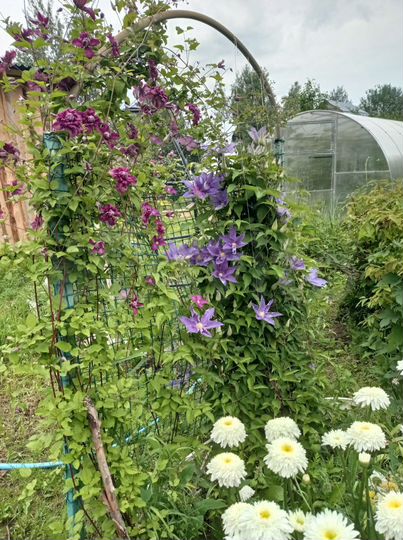 Дом 52 м² на участке 8 сот.