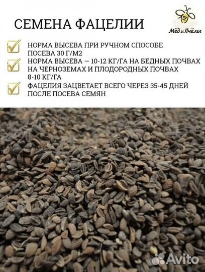 Семена фацелии